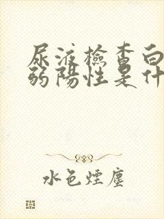 尿液检查白细胞弱阳性是什么原因