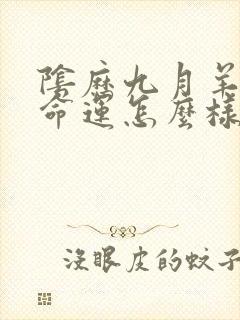 阴历九月羊女的命运怎么样