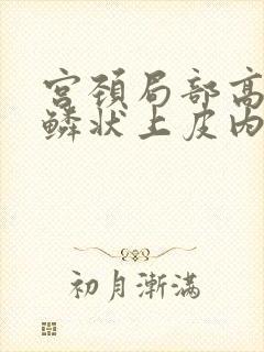 宫颈局部高级别鳞状上皮内病变(c1nll级)