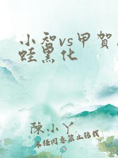 小智vs甲贺忍蛙黑化