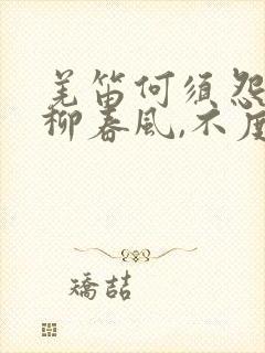 羌笛何须怨,杨柳春风,不度玉门关