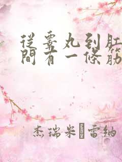 从睾丸到肛门之间有一条筋痛