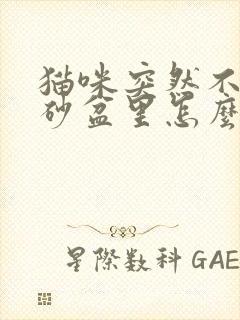 猫咪突然不尿猫砂盆里怎么办