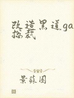 改造黑道gay总裁