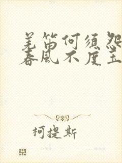 羌笛何须怨杨柳春风不度玉门关什么修辞