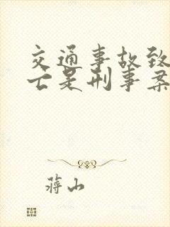 交通事故致人死亡是刑事案件吗