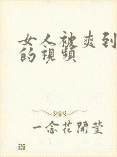 女人被爽到高潮的视频