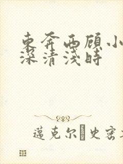 东奔西顾小说云深清浅时