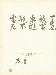 电瓶车放了几天充不进电怎么回事