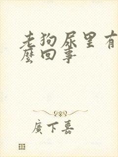 老狗尿里有血怎么回事