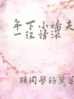 年下小娇夫对我一往情深