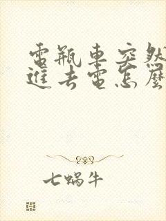 电瓶车突然充不进去电怎么回事