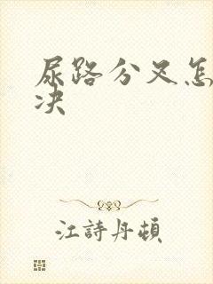 尿路分叉怎么解决