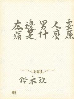 左边男人睾丸疼痛是什么原因引起的