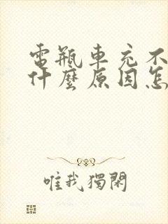 电瓶车充不进电什么原因怎么解决