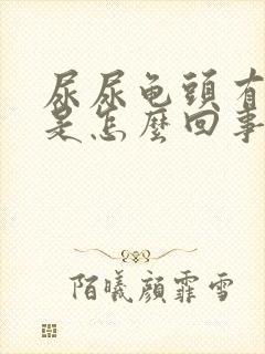 尿尿龟头有点疼是怎么回事