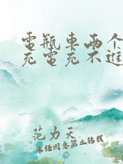 电瓶车两个月没充电充不进电怎么办