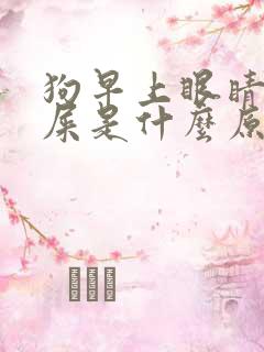 狗早上眼睛有眼屎是什么原因