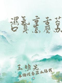 湿气重舌苔厚白口臭怎么办