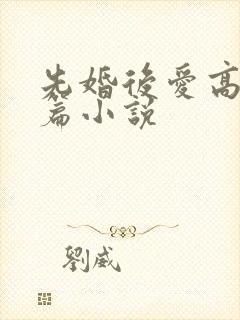 先婚后爱高干中篇小说