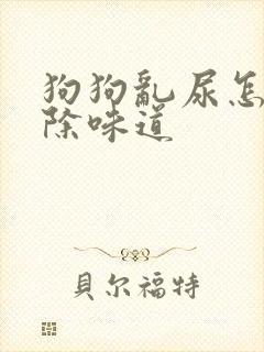 狗狗乱尿怎么去除味道