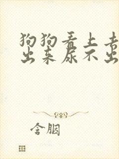 狗狗看上去拉不出来尿不出来