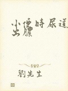 小便时尿道刺痛出脓