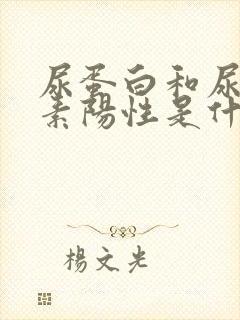 尿蛋白和尿胆红素阳性是什么意思