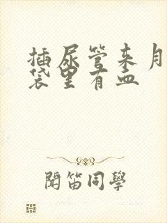 插尿管来月经尿袋里有血