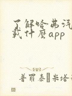 了解哈弗汽车下载什么app