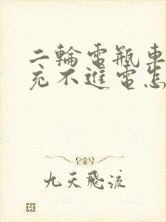 二轮电瓶车电瓶充不进电怎么修复