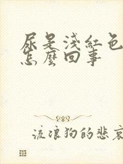 尿是浅红色的是怎么回事