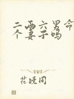 二两六男命有两个妻子吗