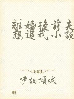 离婚后前夫总是想追我小说在线阅读