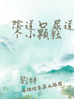 阴道口尿道口长个小颗粒