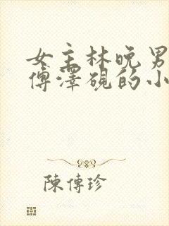 女主林晚男主叫傅泽砚的小说