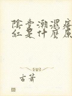 阴囊潮湿瘙痒发红是什么原因造成的