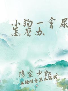 小狗一会尿一点怎么办