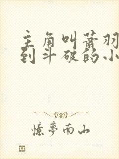 主角叫萧羽穿越到斗破的小说