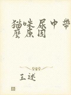 猫咪尿中带血什么原因