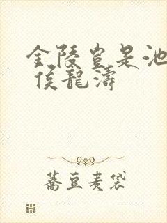 金陵岂是池中物 侯龙涛