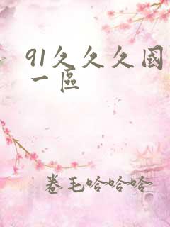91久久久国产一区