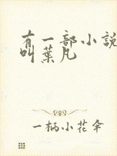 有一部小说主角叫叶凡