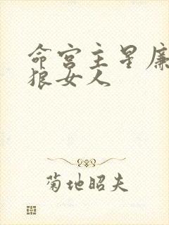 命宫主星廉贞贪狼女人