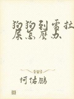 狗狗到处拉尿拉屎怎么办