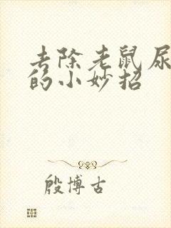 去除老鼠尿骚味的小妙招