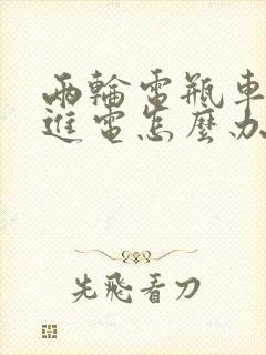 两轮电瓶车充不进电怎么办