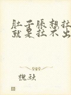 肚子胀想拉大便就是拉不出来怎么办