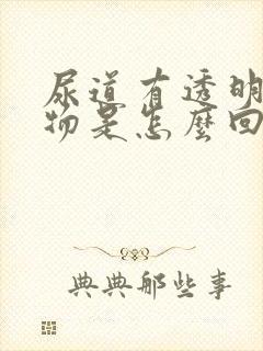 尿道有透明分泌物是怎么回事