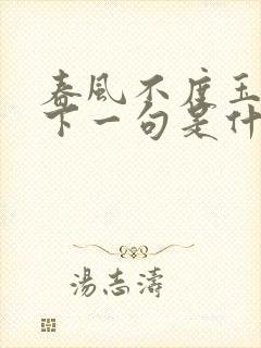 春风不度玉门关下一句是什么